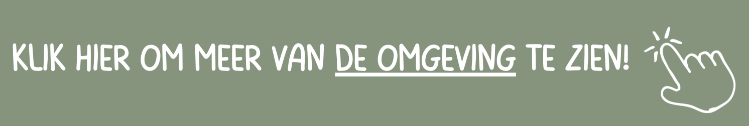 Schermafbeelding 2025-11-09 om 11.36.06